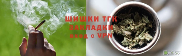гашик Алексеевка