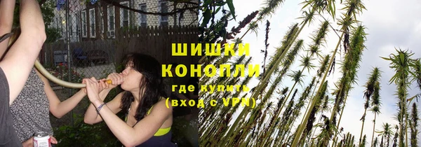 ECSTASY Ладушкин