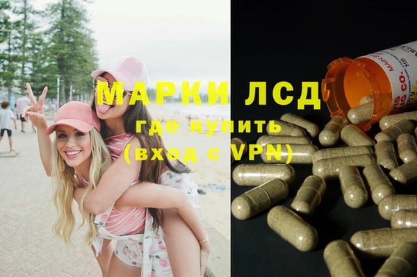 ГАЛЛЮЦИНОГЕННЫЕ ГРИБЫ Алексин