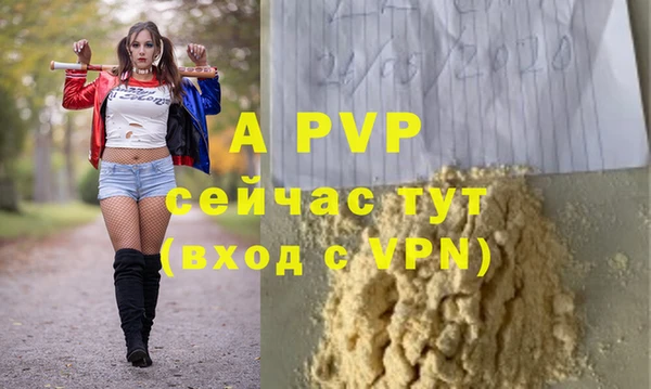 ECSTASY Ладушкин