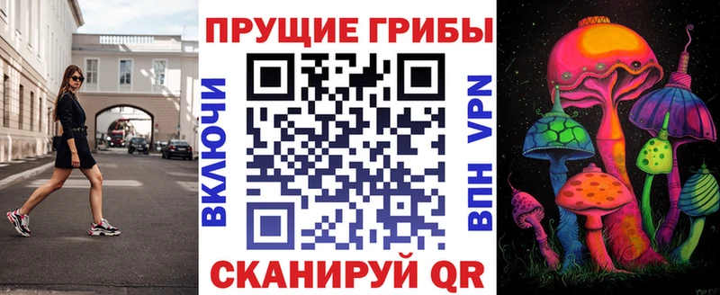 hydra зеркало  Алагир  Псилоцибиновые грибы Psilocybe 